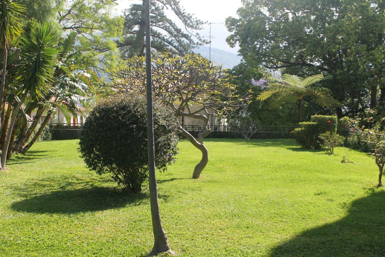 Jasmineiro - Palms Palace Apartment 丰沙尔 外观 照片