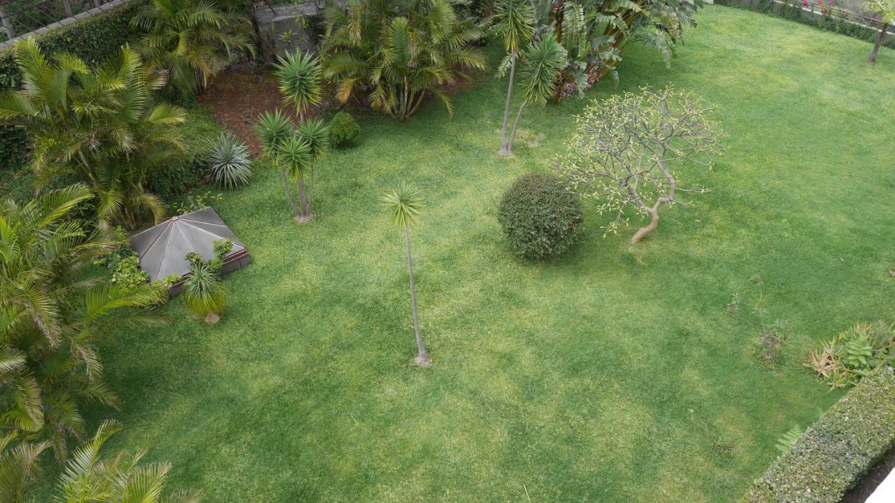 Jasmineiro - Palms Palace Apartment 丰沙尔 外观 照片